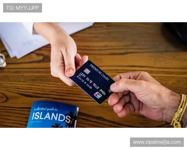 探索开云在线登录官网的多种登录方式，提升用户体验的指南